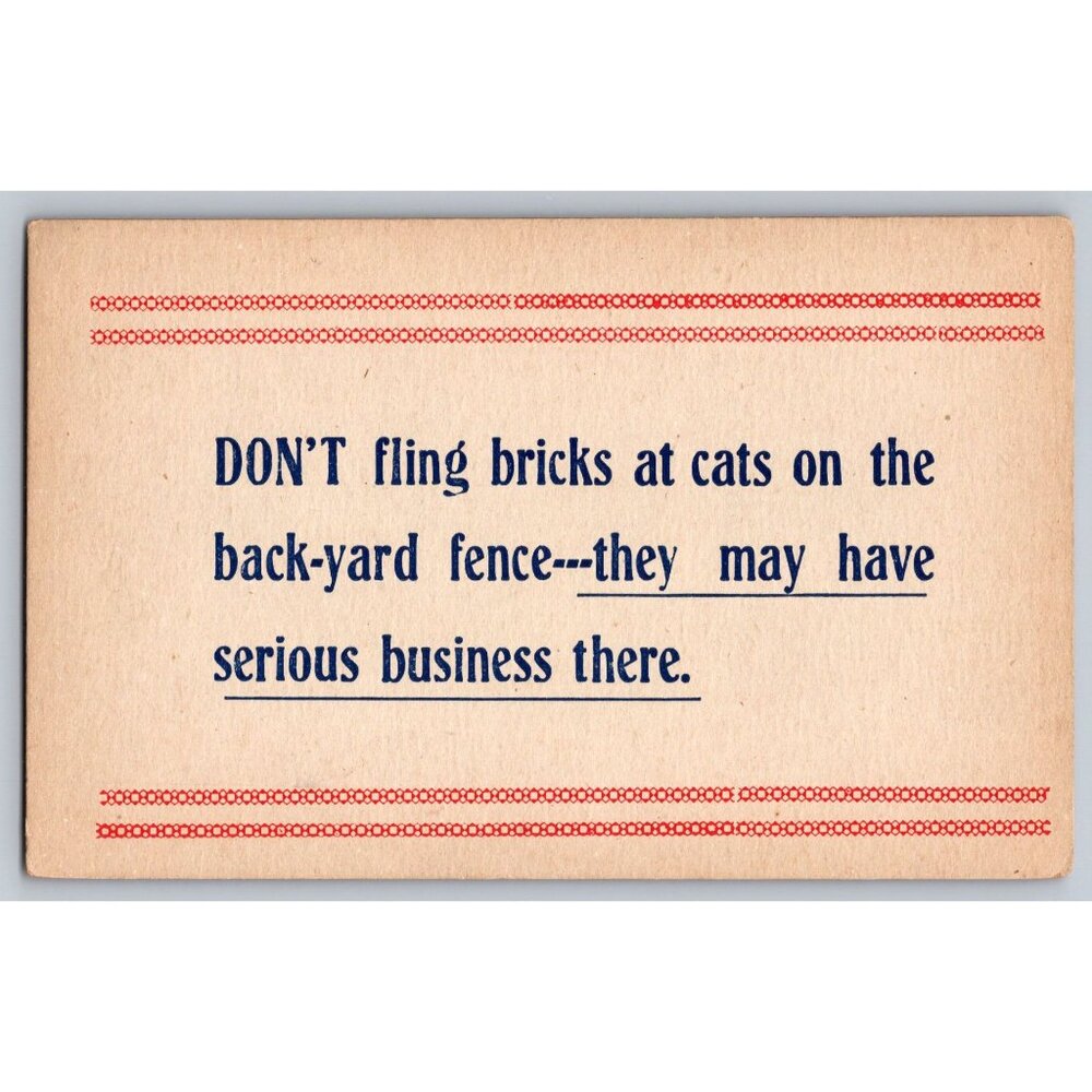 Vintage Postcard With Humorous Cat Quote - "Dont Fling Bricks At Cats" #1672